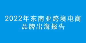 2022东南亚跨境电商品牌出海报告