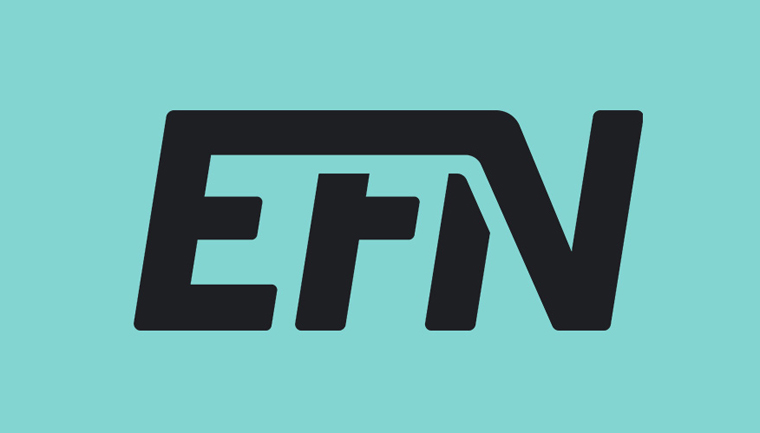 EFN（European Fulfillment Networks）