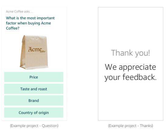 Amazon Customer Insights